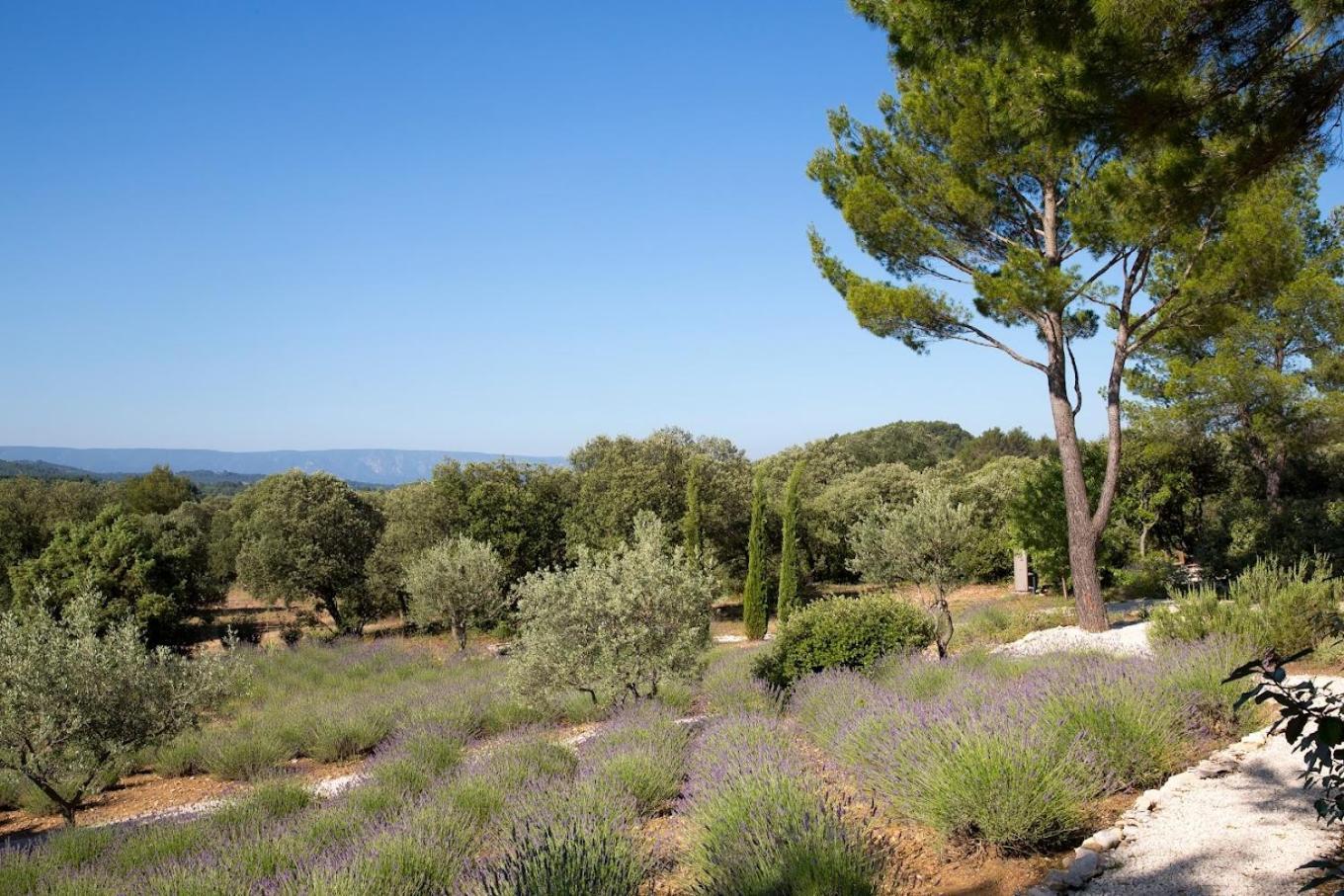 La Cle Des Champs, Boutique Hotel & Spa - Le Mas De Garrigon Roussillon en Isere Exteriér fotografie