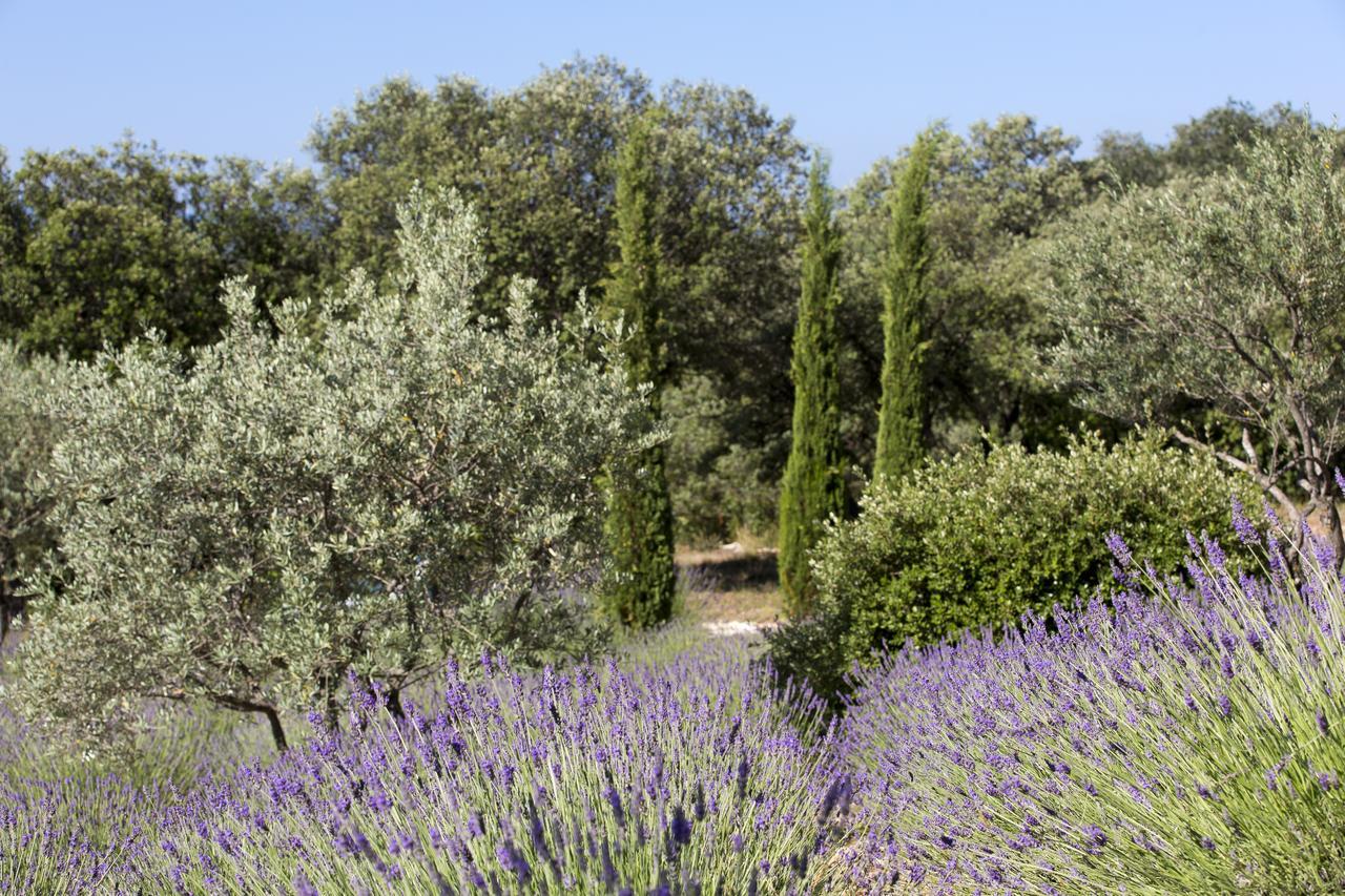 La Cle Des Champs, Boutique Hotel & Spa - Le Mas De Garrigon Roussillon en Isere Exteriér fotografie
